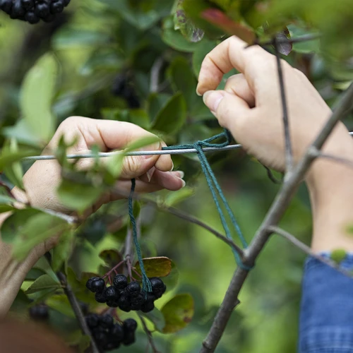 Zöld pamutzsinór 2 mm/55 m/100 g - 7