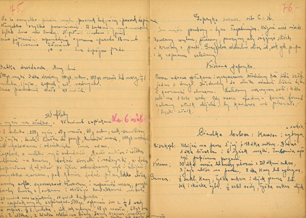 2. rész: Kovászolt paprika tölgyfalevelekkel