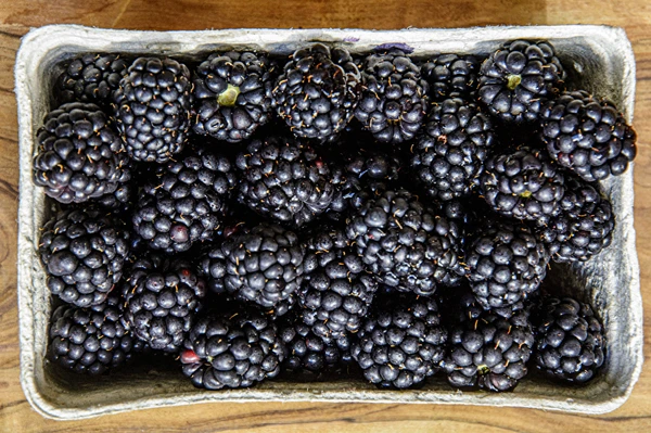 Házi félédes szederbor