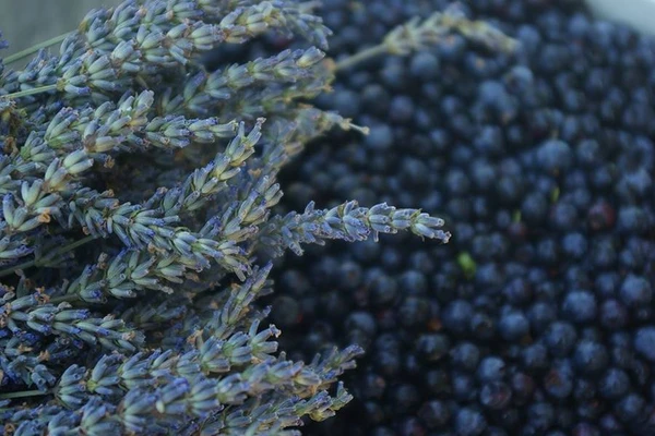 Házi levendulás - áfonyás bor