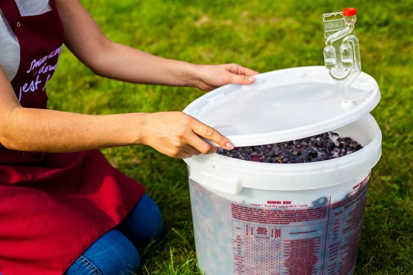 Hogyan készíts bort lépésről lépésre?