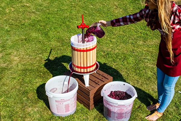 Hogyan készíts bort lépésről lépésre?