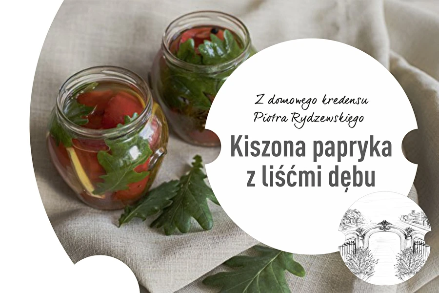 2. rész: Kovászolt paprika tölgyfalevelekkel