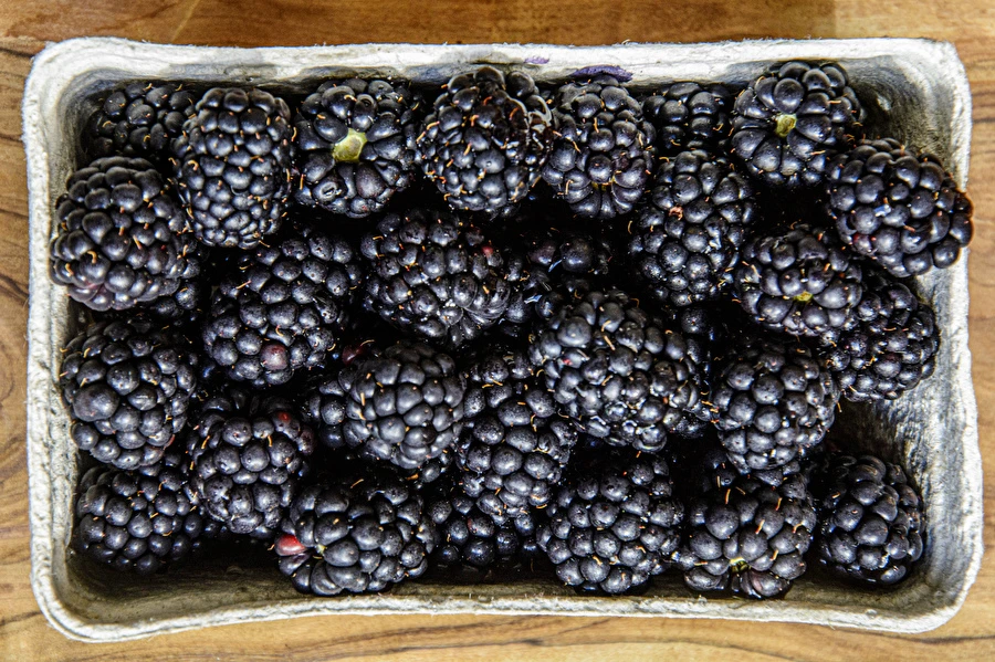 Browin Przepiśnik - Házi félédes szederbor