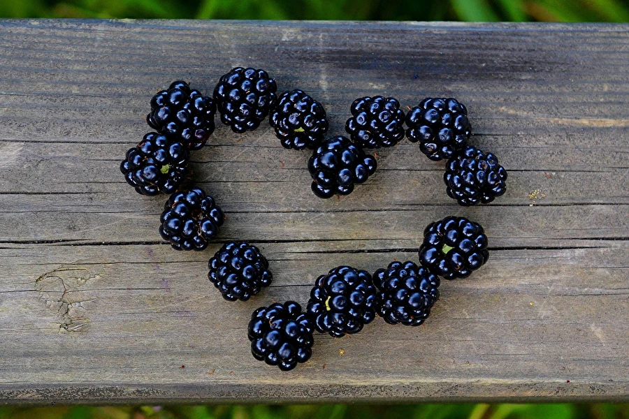 Browin Przepiśnik - Házi szederlikőr