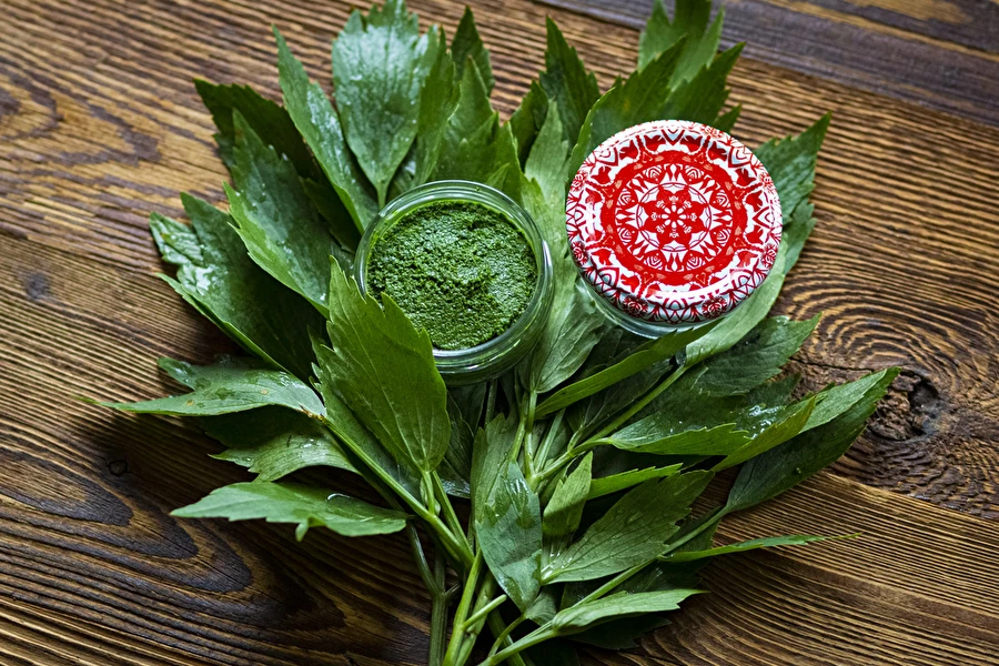 Lestyánkrém — házi MAGGI ízesítő